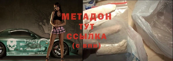индика Арсеньев