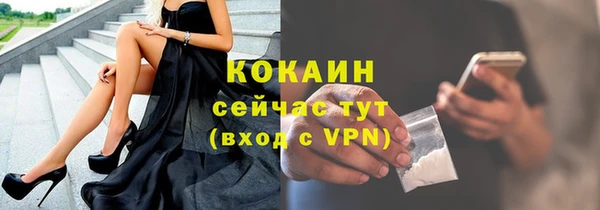 индика Арсеньев