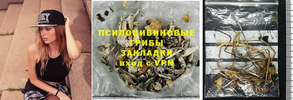 индика Арсеньев