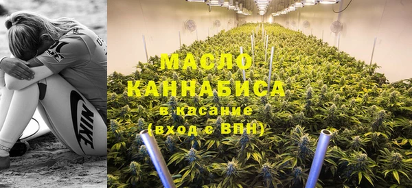 индика Арсеньев